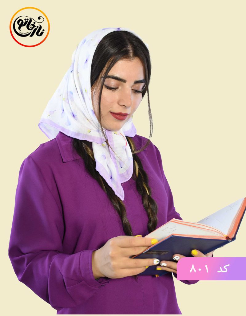 پروانه مغرور کد801 - Image 3