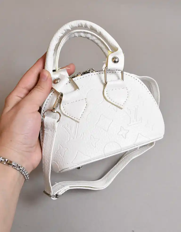 کیف مینیاتوری لویی ویتون